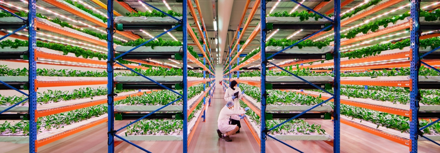 Image for Emirates Flight Catering Fully Acquires Bustanica, The World’s Largest Indoor Vertical Farm