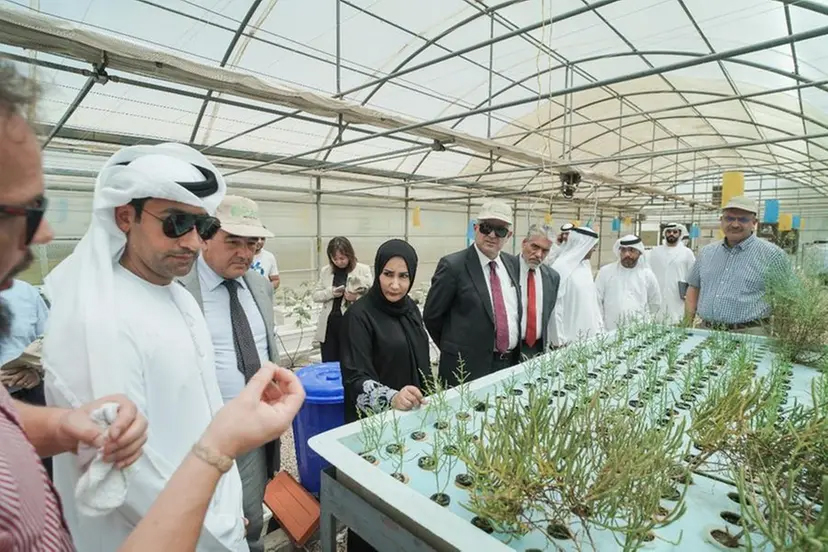 Image for The Environment Agency – Abu Dhabi And International Center For Biosaline Agriculture Sign Agreement