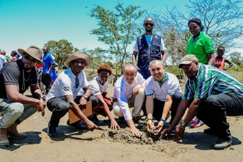 Image for UAE’s Blue Forest Launches 200mln Mangrove Reforestation Project In Mozambique