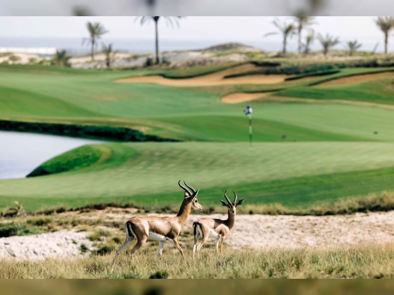 Image for Green Tourism In UAE: Nature’s Beauty Embracing Sustainability