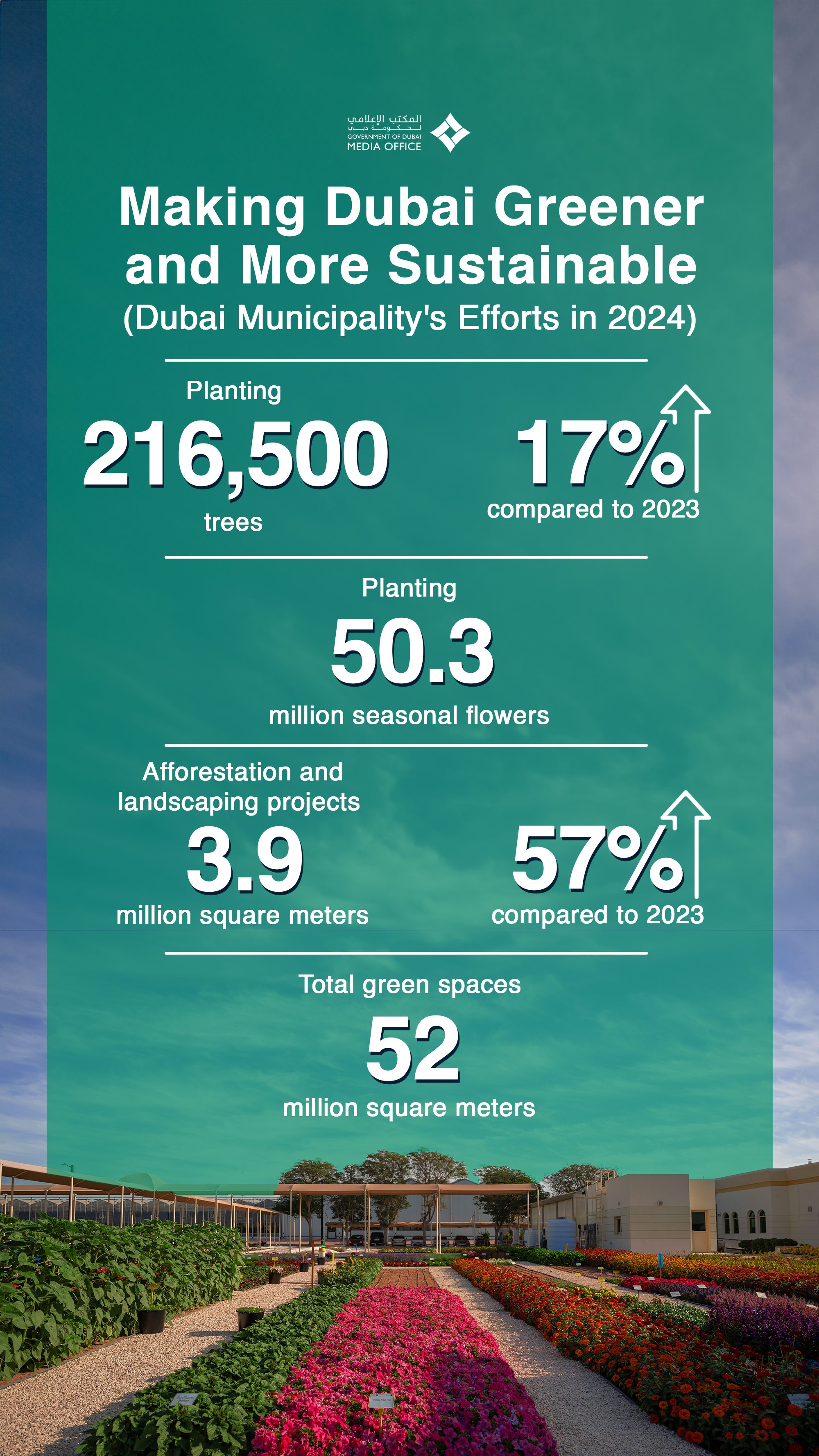 Image for Dubai Municipality Plants 216,500 New Trees In 2024, Boosting Sustainability And Enriching The City’s Urban Environment